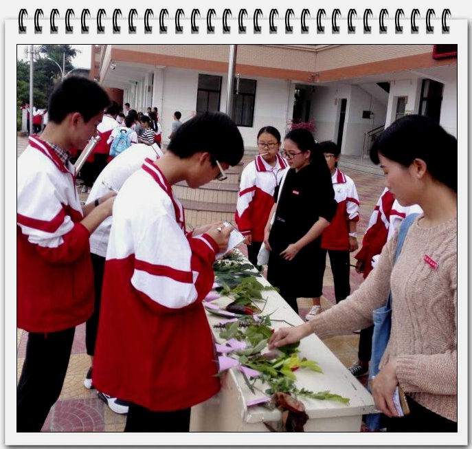 海洋与食品学院2014级生物科学专业教育实习圆满结束