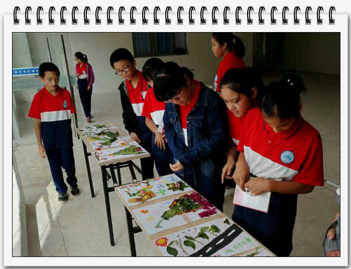 海洋与食品学院2014级生物科学专业教育实习圆满结束