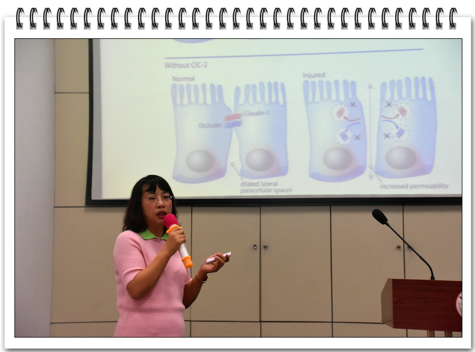教育部“长江学者”麻彤辉博导及教育部“新世纪优秀人才”杨红博导莅临海洋学院讲学